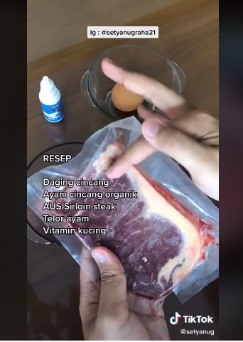 Sultan! Kucing Ini Diberi Makan Daging Sirloin Setiap Hari