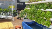 Kampung di tengah kota Blora ini bersih dan asri. Jalanan berpaving berpadu dengan hijau tanaman sayur-mayur sepanjang jalan dan halaman warga. 