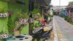 Dulu Gersang dan Kusam, Kini Kampung Ini Jadi Produsen Bibit