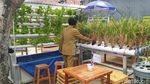 Dulu Gersang dan Kusam, Kini Kampung Ini Jadi Produsen Bibit