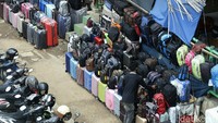 Pendapatan mereka menurun hingga 50 persen di saat pandemi COVID-19 ini.