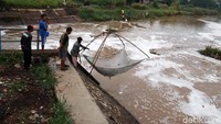 Pantauan, Rabu (21/10/2020) sudah sejak pagi para penjala ini mendatangani Pintu Air Sungai Citarik untuk menangkap ikan.