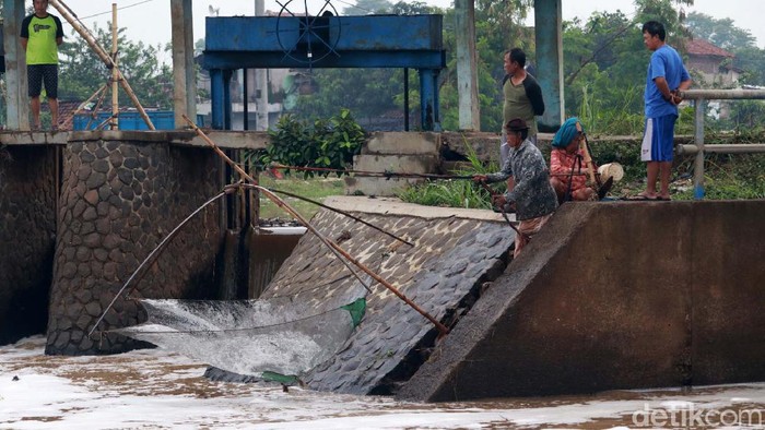 Musim Hujan, Berkah Bagi Penjala Ikan di Sungai Citarik Musim hujan membuat debit air Sungai Citarik naik. Hal ini membawa berkah bagi warga yang menjala ikan di Pintu Air Sungai Citarik.