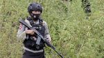 Polisi Gerebek 10  Hektar Kebun Ganja di Tanah Rencong