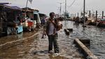 Potret Banjir Rob yang Kembali Terjang Muara Angke