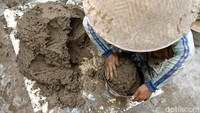 Diketahui, dalam satu hari dua orang pekerja mampu mencetak 700 hingga 800 batu bata.