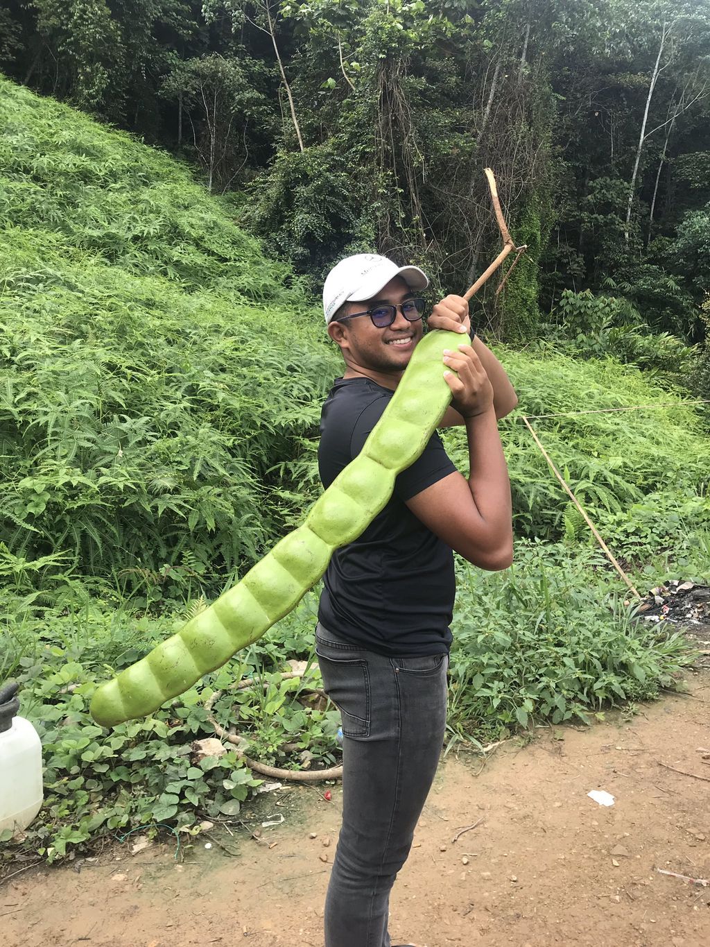Wow! Netizen Heboh Temukan Petai Raksasa yang Bikin Ngakak