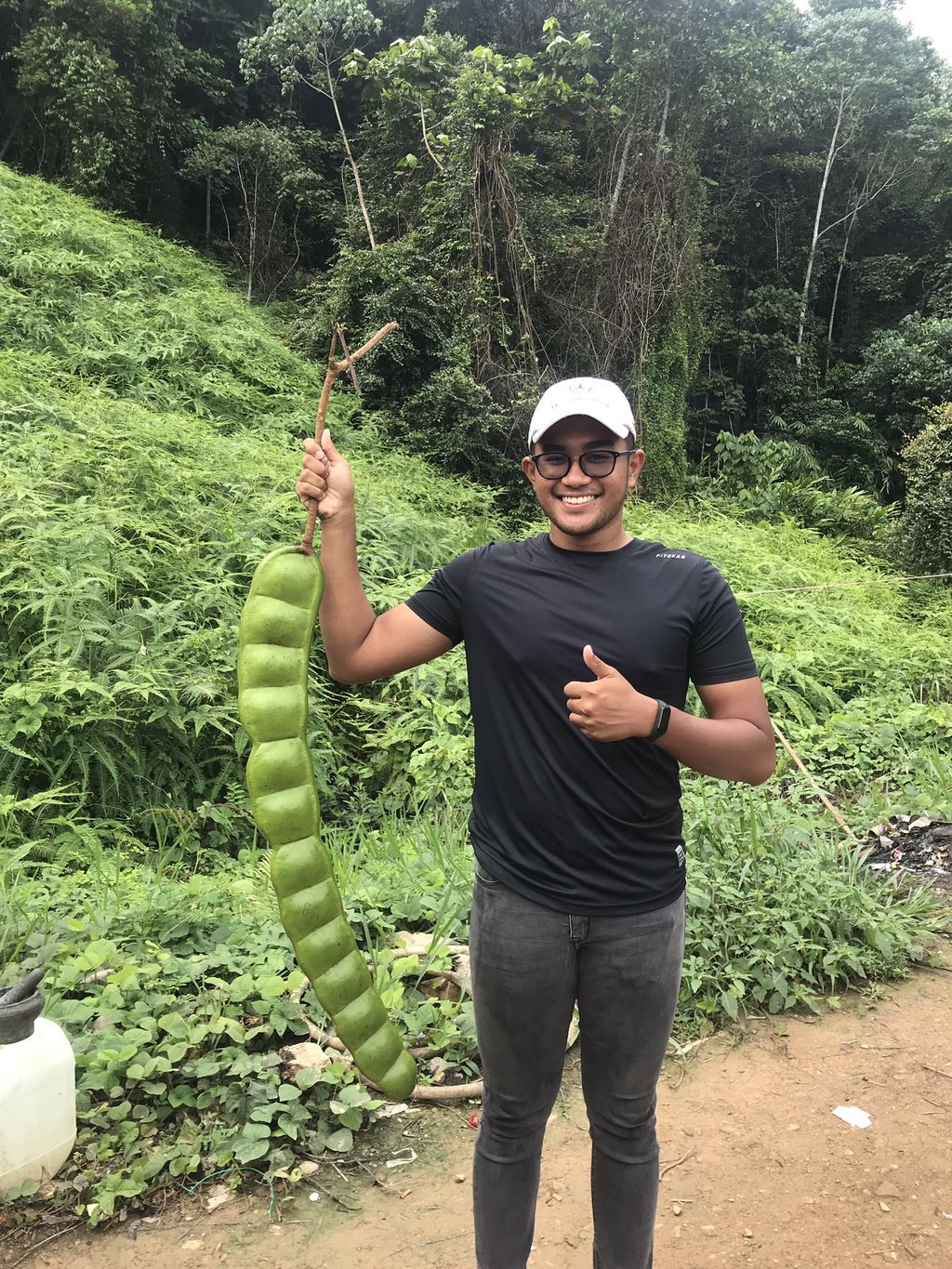 Wow! Netizen Heboh Temukan Petai Raksasa yang Bikin Ngakak