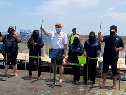 Tanam Mangrove di Brebes, Luhut: Hampir 1 Juta Ha Sekarang Rusak