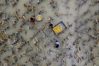 Aerial Photography Awards 2020