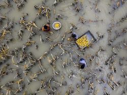 Karya Luar Biasa Jawara Kontes Foto Aerial Bikin Mata Terpana
