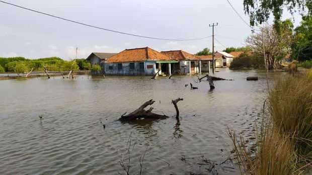 Banjir rob di Muaragembong, Kabupaten Bekasi (Dok Istimewa)