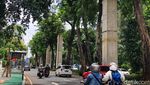 Mangkrak 16 Tahun, Begini Kondisi Tiang Monorel Jakarta