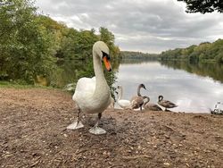 Begini Hasil Jepretan iPhone 12 Pro