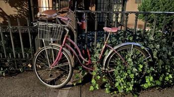 Night Mode memang menjadi standar kamera smartphone zaman sekarang. Foto: Mashable