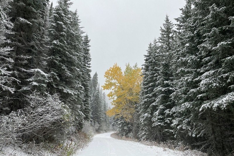 Jepretan iPhone 12 Pro