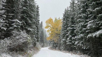 Fotografer travel Austin Mann menjepret foto ini dengan iPhone 12 Pro. Foto: Austin Mann