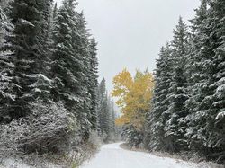 Begini Hasil Jepretan iPhone 12 Pro