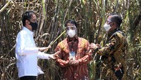 Pabrik gula tersebut berkapasitas giling hingga 12.000 ton cane per day (TCD).
