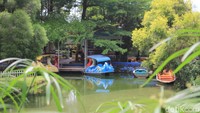 Kampung Tulip juga populer sebagai tempat pre-wedding. (Siti Fatimah/detikcom)