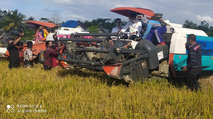 Mentan Panen Raya Seluas 178.5 Ha di Konawe Selatan