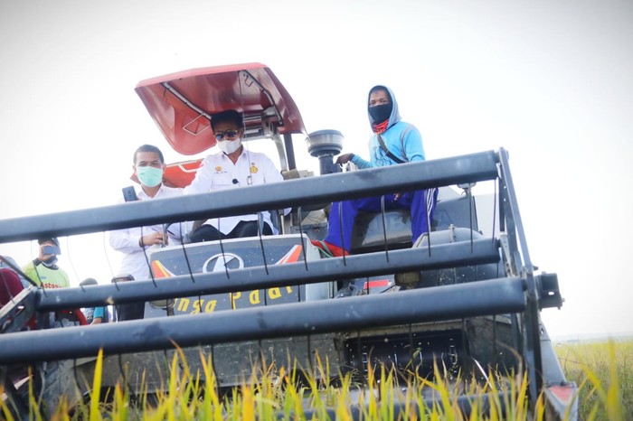 Menteri Pertanian Syahrul Yasin Limpo melakukan panen raya padi di Desa Cialam Jaya, Kecamatan Konda, Konawe Selatan.