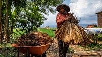 Warga setempat memanfaatkan tanaman gulma tersebut untuk dijual sebagai bahan kerajinan ke wilayah Jateng, DI Yogyakarta, Jawa Barat dan Bali seharga Rp11.500 per ikat (50 kilogram) untuk eceng gondok basah dan Rp6 ribu per kilogram untuk eceng gondok kering.