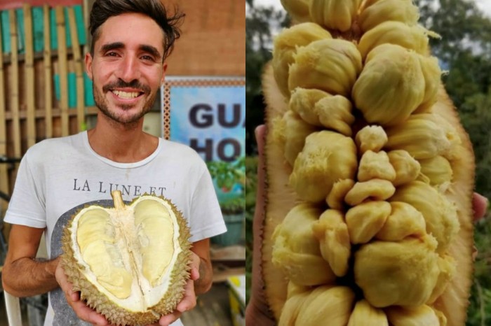 pria cicip 300 buah di dunia Kisah Pria Cicip 300 Buah di Dunia