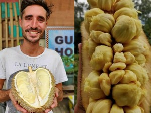 Pria Ini Sudah Cicip 300 Buah di Dunia, Jatuh Cinta pada Cempedak Indonesia!