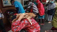 Layanan vaksin rabies gratis dilakukan oleh Sudin Ketahanan Pangan, Kelautan dan Pertanian (KPKP) DKI Jakarta Pusat.