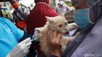 Dinas KPKP Jakarta Gerilya Vaksin Rabies Gratis