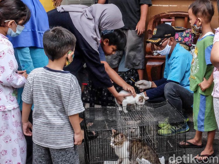 Dinas KPKP Jakarta Gerilya Vaksin Rabies Gratis