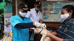 Dinas KPKP Jakarta Gerilya Vaksin Rabies Gratis