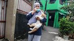 Dinas KPKP Jakarta Gerilya Vaksin Rabies Gratis