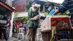 Dinas KPKP Jakarta Gerilya Vaksin Rabies Gratis