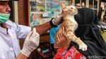 Dinas KPKP Jakarta Gerilya Vaksin Rabies Gratis
