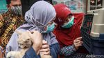 Dinas KPKP Jakarta Gerilya Vaksin Rabies Gratis