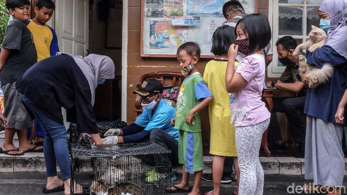 Warga antusias membawa hewan peliharaan di layanan vaksinasi rabies gratis di Johar Baru, Jakarta Pusat, Kamis (21/10/2020). Layanan tersebut dilakukan oleh Dinas Ketahanan Pangan, Kelautan dan Pertanian DKI Jakarta Pusat. Vaksinasi gratis tersebut akan berlangsung hingga 27 Oktober pekan depan.
