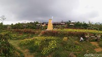 Di Taman Bunga Celosia ini pengunjung bisa berfoto ditengah taman bunga dengan latar belakang pemandangan Kuningan dan Gunung Ciremai. Selain itu ada juga kincir angin khas Belanda yang menambah daya tarik di sini.