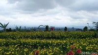 Taman bunga ini biasanya selalu ramai dikunjungi pada saat akhir pekan. Namun ada saja pengunjung yang datang saat hari biasa.