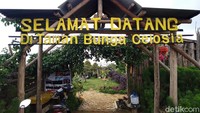 Letaknya yang berada di ketinggian 600 mdpl ini cocok sekali dijadikan tempat untuk menenangkan pikiran karena selain sejuk, suasana sunyi juga sangat terasa di taman bunga ini.