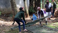 Sebentar lagi, kawasan taman akan menjadi Eco Garden.