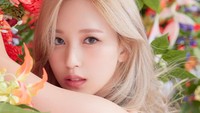 Ada juga versi Story yang menampilkan para member di padang penuh kembang seperti foto Mina ini. (Foto: dok. JYP Entertainment)