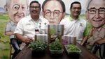Budidaya Sayur Super Mini di Masa Pandemi