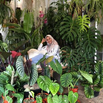Anjar pemilik Delfawood, toko tanaman hias langganan artis