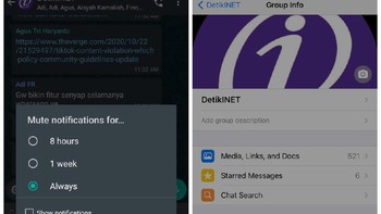 Fitur mute selamanya grup WhatsApp baru saja digulirkan. Setelah diaktifkan, kamu tidak akan menerima notifikasi tiap kali ada pesan masuk selamanya. Opsi ini sangat berguna bagi kamu yang tidak ingin terganggu oleh percakapan grup yang begitu aktif. Foto: detikINET