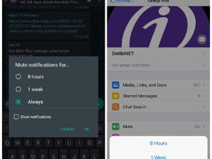 Grup WhatsApp Kini Bisa Di-mute Selamanya