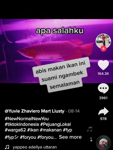 Goreng Ikan Red Arwana, Wanita Ini Curhat Suaminya Ngambek