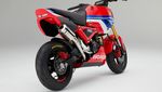 Tampil Berani, Ini Penampakan Honda Grom Versi HRC