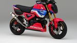 Tampil Berani, Ini Penampakan Honda Grom Versi HRC